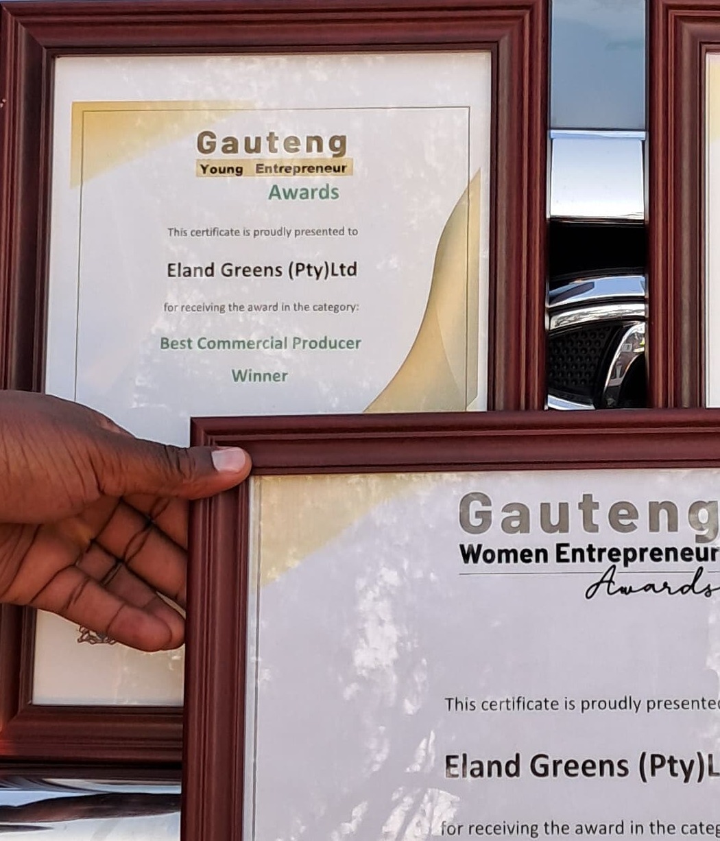 Mobirise Website BBest Commercial Producer Winner Award 2024uilder