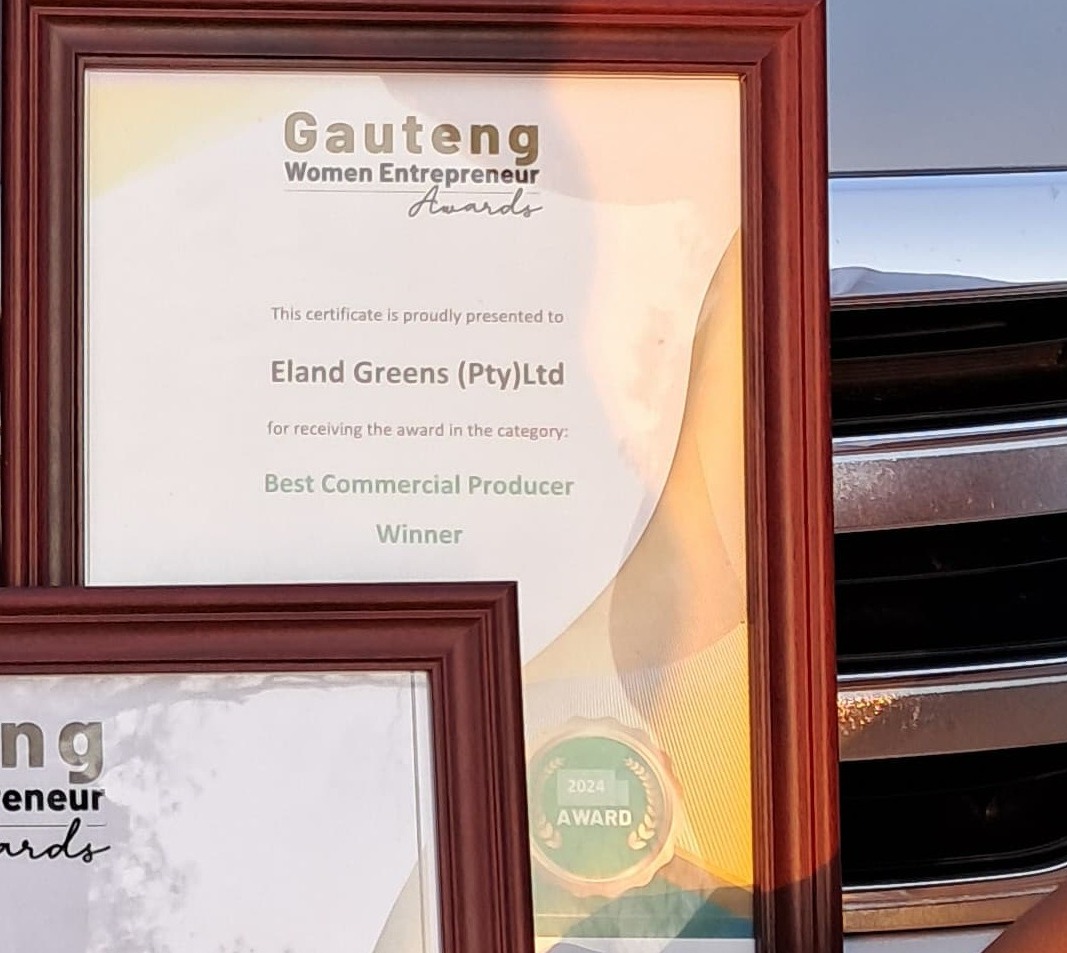 Best Commercial Producer Winner Award 2024