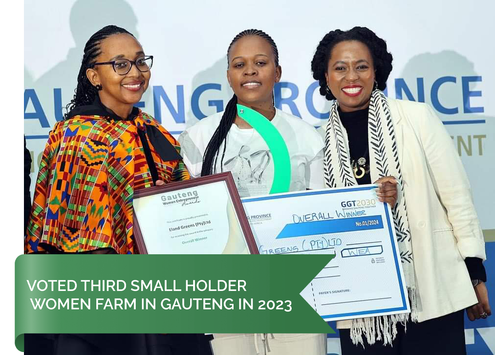 Voted No 3 small holder women farm in gauteng 2023